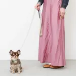 シュリンクレザーハートバックルカラー