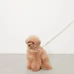 アニマル柄カラー＋リードSET【名入れ彫刻対応】