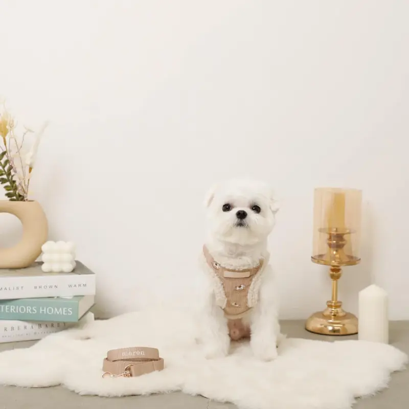 木馬刺繍入りコーデュロイボアハーネス+リードSET【名入れ刺繍対応】