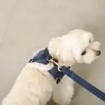 木馬刺繍入りコーデュロイボアハーネス+リードSET【名入れ刺繍対応】