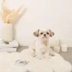 ギンガムチェックいちごフラワーチャームカラー+リードSET【名入れ彫刻対応】