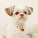 ギンガムチェックいちごフラワーチャームカラー+リードSET【名入れ彫刻対応】