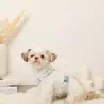 ギンガムチェックいちごハーネス