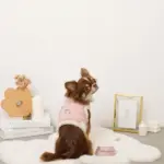 キルティングボアレースハーネス+リードSET【名入れ刺繍対応】