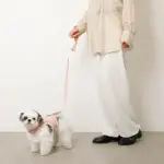 キルティングボアレースハーネス+リードSET【名入れ刺繍対応】