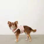 キルティングボアレースハーネス+リードSET【名入れ刺繍対応】