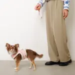 キルティングボアレースハーネス+リードSET【名入れ刺繍対応】