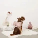 ビッグリボンファーハーネス+リードSET【名入れ刺繍対応】