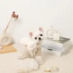 ビッグリボンファーハーネス+リードSET【名入れ刺繍対応】