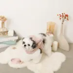 ビッグリボンファーハーネス+リードSET【名入れ刺繍対応】