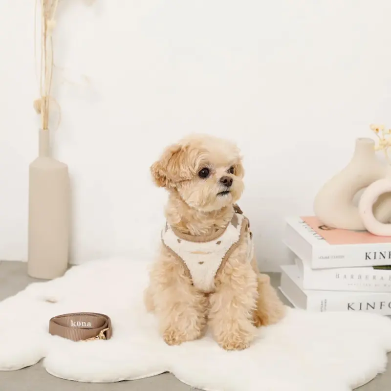 ボアハート刺繍ハーネス＋リードSET【名入れ刺繍対応】