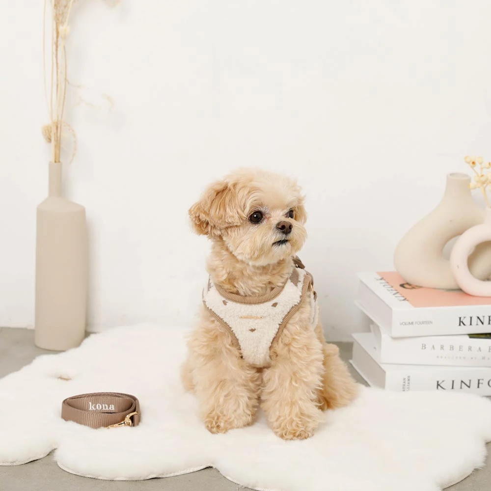 子犬 ハーネス サイズ - 2025 puppy harness types comparison