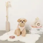 ボアハート刺繍ハーネス＋リードSET【名入れ刺繍対応】