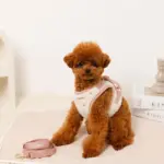 ボアハート刺繍ハーネス＋リードSET【名入れ刺繍対応】