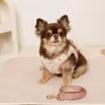 ボアハート刺繍ハーネス＋リードSET【名入れ刺繍対応】