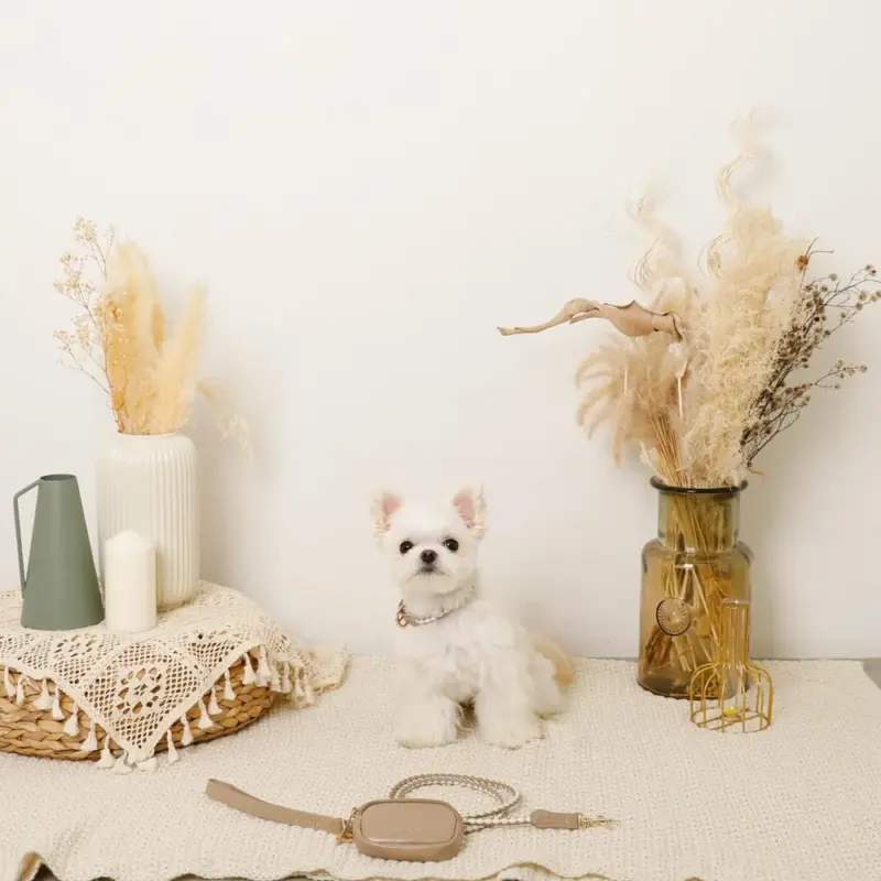 フェイクレザーメッシュMIXカラー＋リードSET