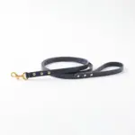 オーストレザーリード