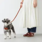 オーストレザーリード