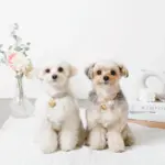 ハートチャームレザーカラー【名入れ彫刻対応】