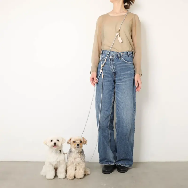 犬 画像 - Professional Guide and Review