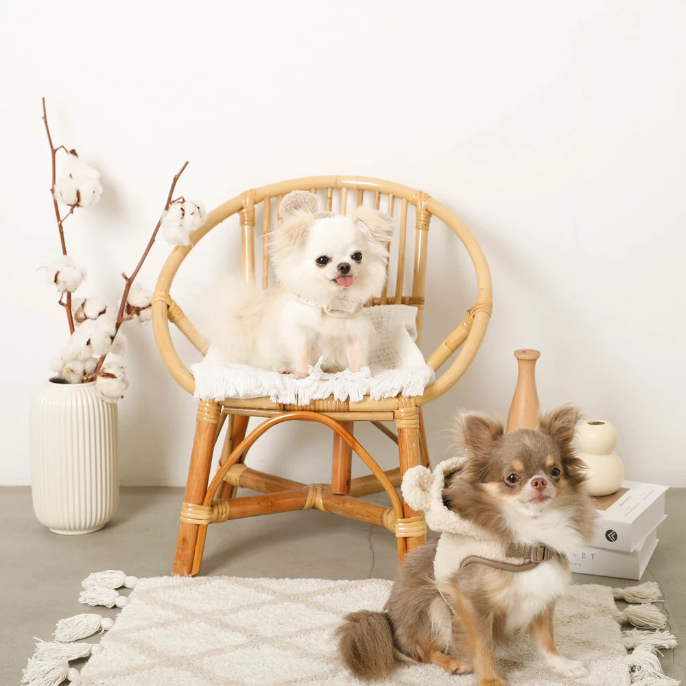 ペット 用品 おしゃれ - minimalist pet furniture japanese design