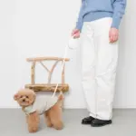 ウォーキングロングリード 5m