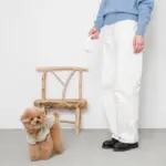 ウォーキングロングリード 5m