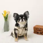 ミックスカラー反射ハーネス