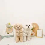 ミックスカラー反射ハーネス