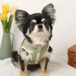 ミックスカラー反射ハーネス