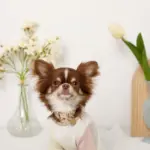 ミックスカラー反射カラー【名入れ彫刻対応】