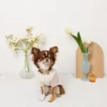 ミックスカラー反射カラー【名入れ彫刻対応】