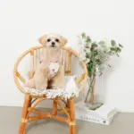 冷感いちご柄ハーネス+リードSET【名入れ刺繍対応】