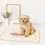 冷感いちご柄ハーネス+リードSET【名入れ刺繍対応】