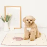 冷感いちご柄ハーネス+リードSET【名入れ刺繍対応】