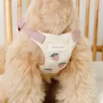 冷感いちご柄ハーネス+リードSET【名入れ刺繍対応】