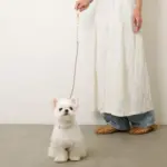 フラワーパラコードリード