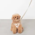 くまさんハーネス