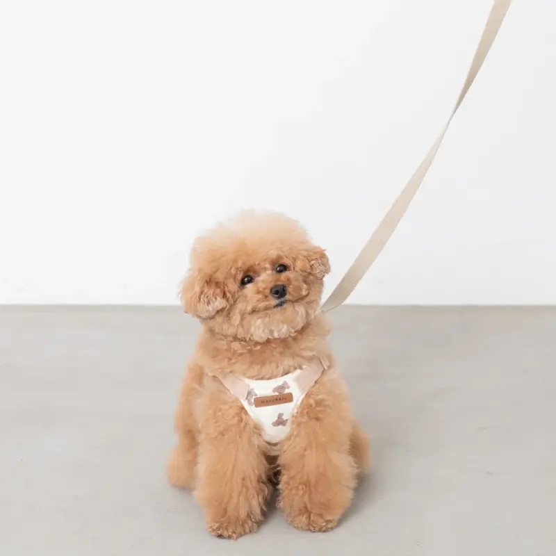 くまさんハーネス