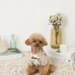 くまさんハーネス