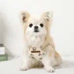 くまさんハーネス