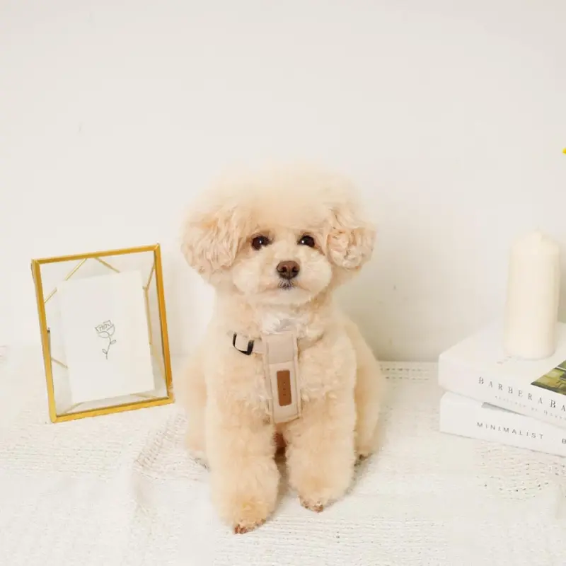 レザー×リネンハーネス