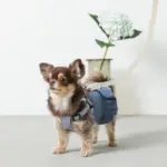 レザー×リネンハーネス