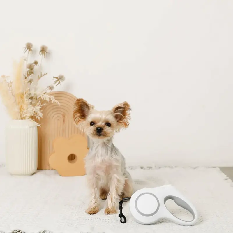 LEDロングリード5m