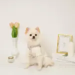 反射フラワー刺繍ハーネス+リードSET【名入れ刺繍対応】