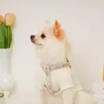 反射フラワー刺繍ハーネス+リードSET【名入れ刺繍対応】