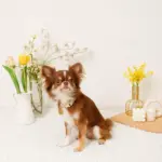 フラワーチャーム刺繍カラー+リードSET【名入れ彫刻対応】