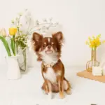 フラワーチャーム刺繍カラー+リードSET【名入れ彫刻対応】