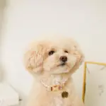 フラワーチャーム刺繍カラー+リードSET【名入れ彫刻対応】