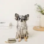 メッシュコンビ反射テープハーネス+リードSET【名入れ刺繍対応】